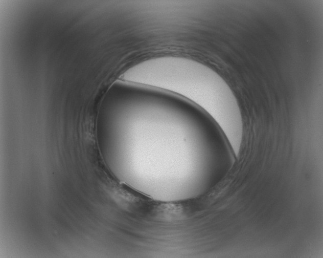 X0000068260421200604210919