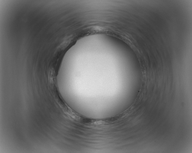 X0000068260423200604210919