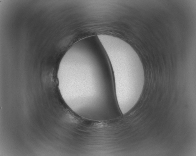 X0000068260424200604210919