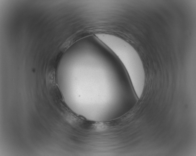 X0000068260425200604210919