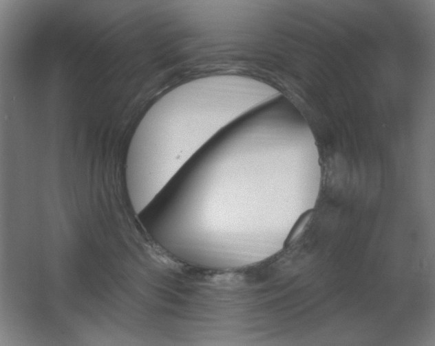 X0000068260426200604210919