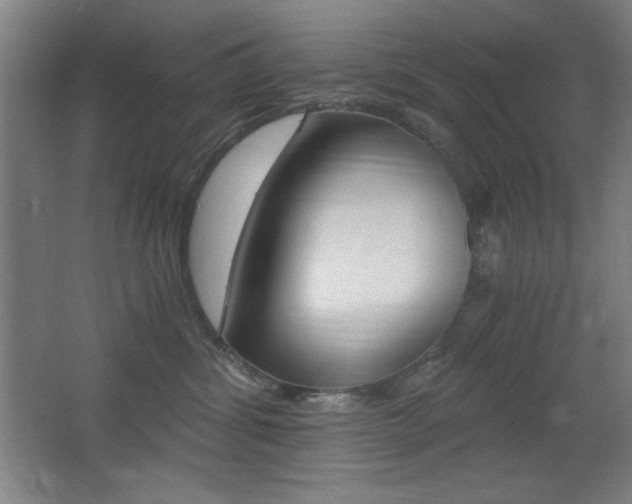 X0000068260428200604210919