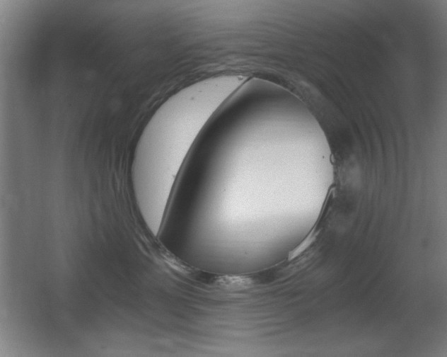 X0000068260429200604210919