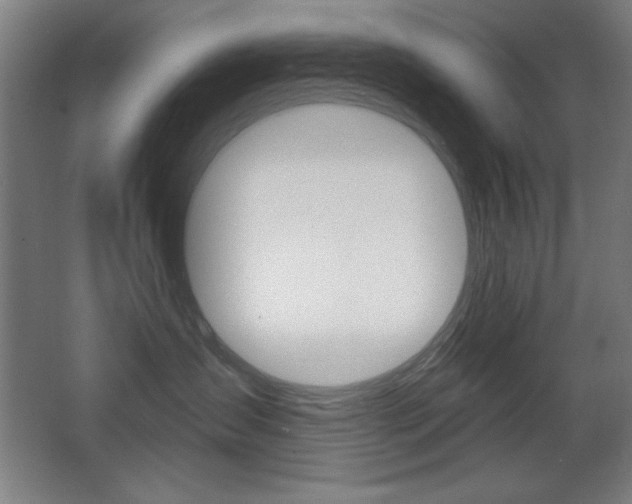 X0000068260431200604210919