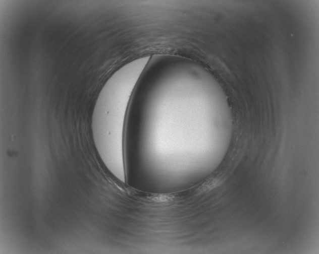 X0000068260432200604210919