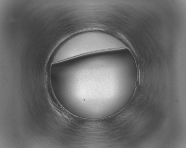 X0000068260435200604210918