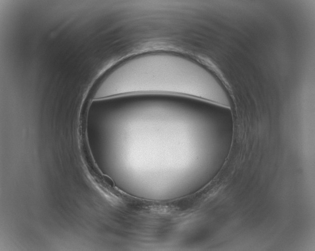 X0000068260439200604210918