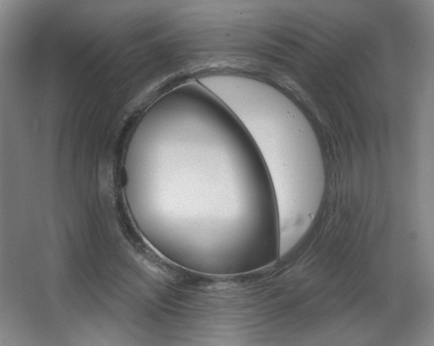X0000068260444200604210918