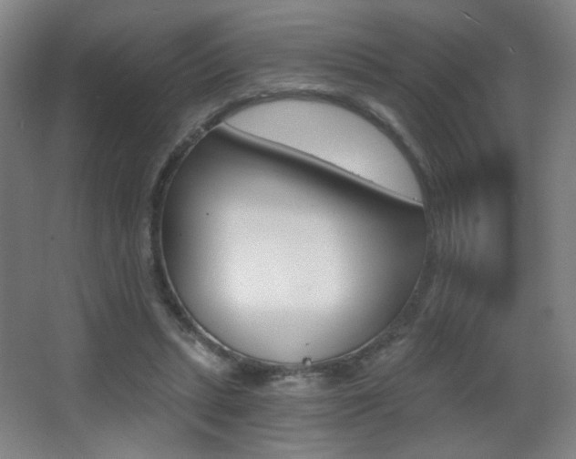 X0000068260447200604210918