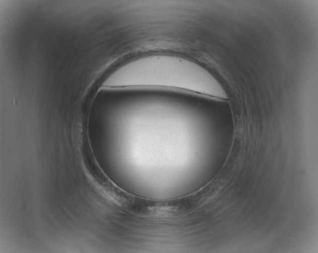 X0000068260448200604210918