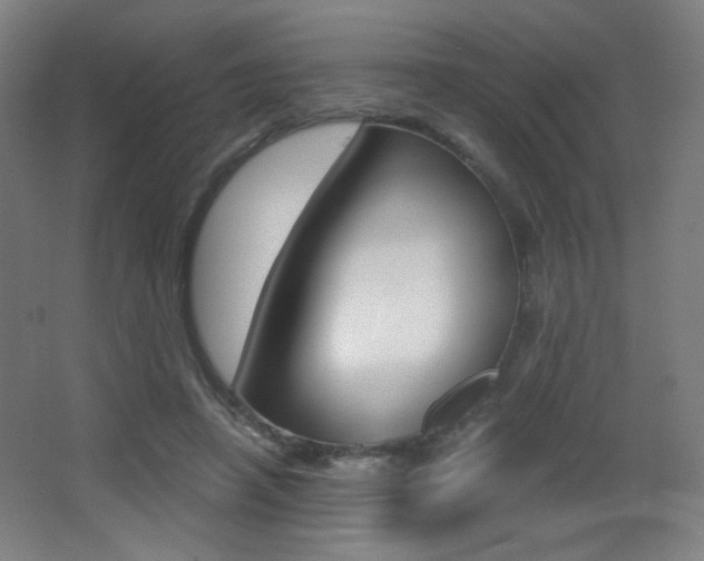X0000068260450200604210918