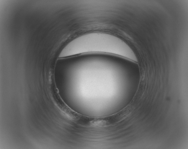 X0000068260452200604210919