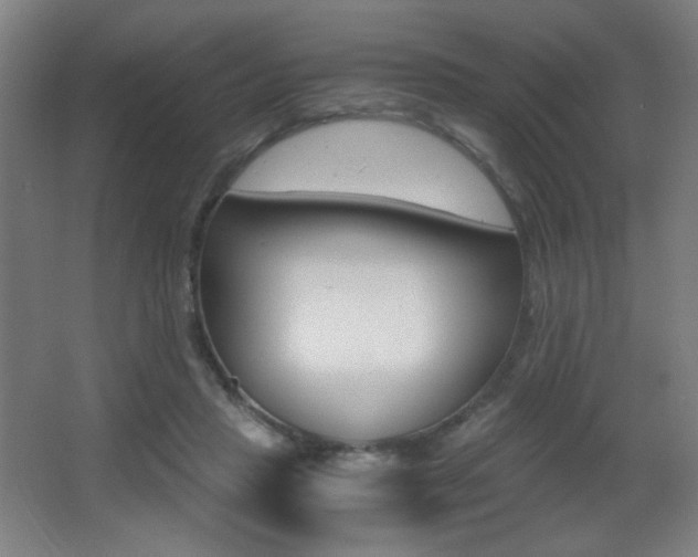 X0000068260453200604210919