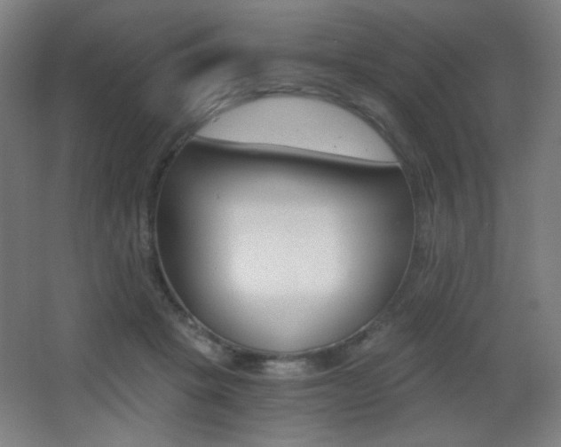 X0000068260457200604210919