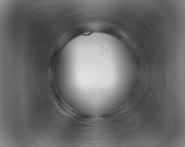 X0000068260459200604210919