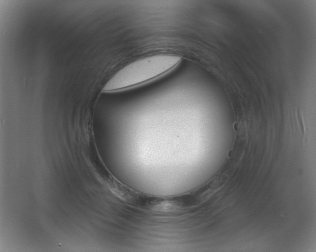 X0000068260460200604210919