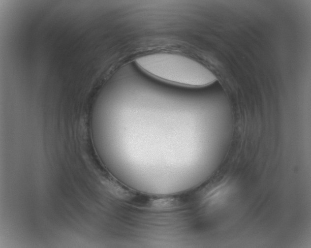 X0000068260461200604210919