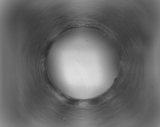 X0000068260462200604210919