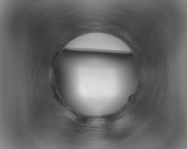 X0000068260463200604210919