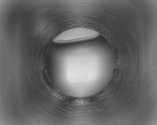 X0000068260464200604210919