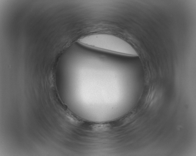 X0000068260465200604210919