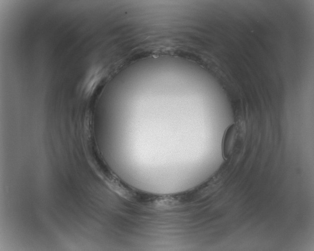 X0000068260468200604210919