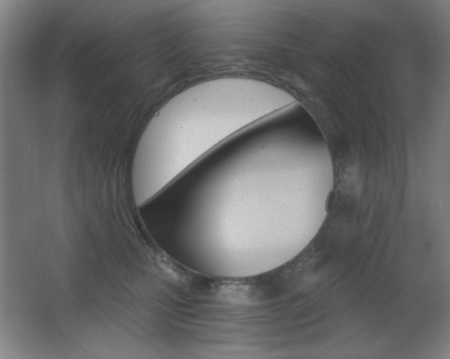 X0000068260471200604210919