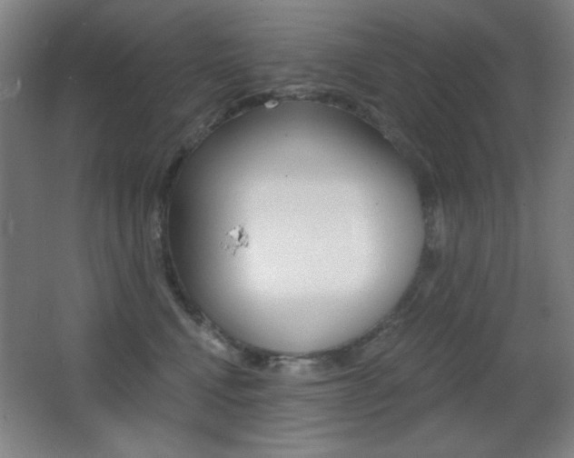 X0000068260472200604210919