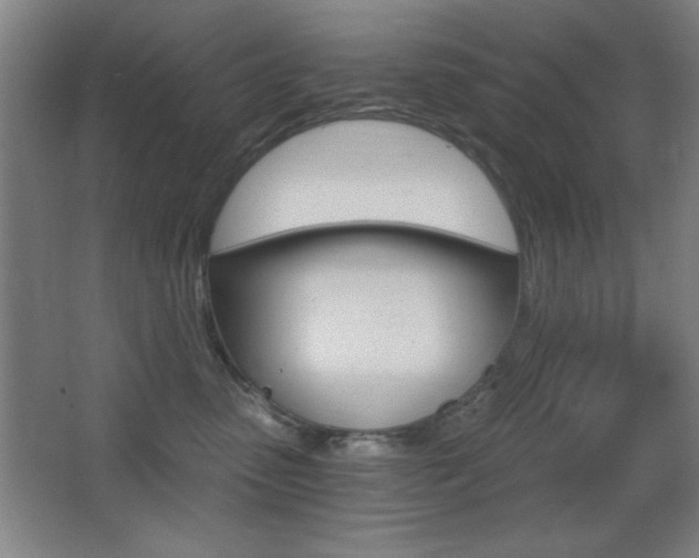 X0000068260475200604210919