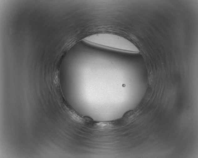 X0000068260477200604210919