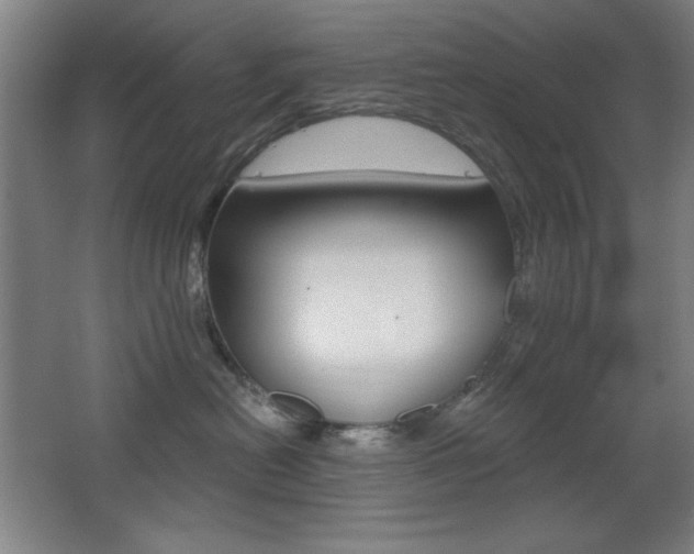 X0000068260478200604210919