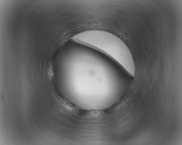 X0000068260479200604210919