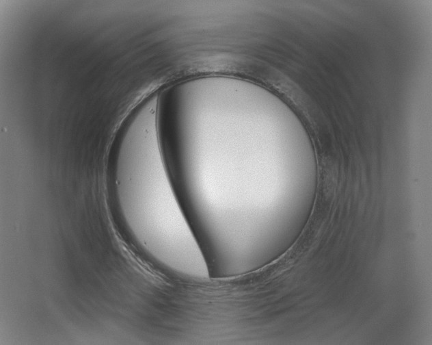 X0000068260482200604210918