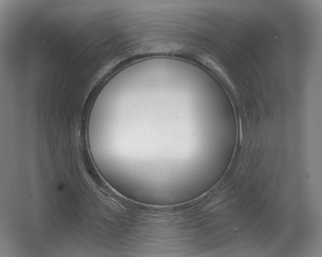 X0000068260483200604210918
