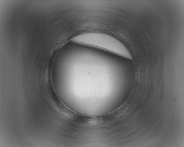 X0000068260504200604210918