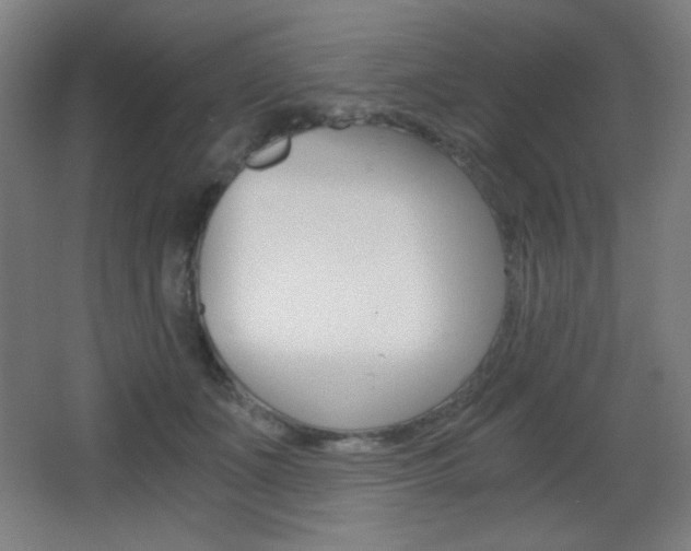 X0000068260511200604210918