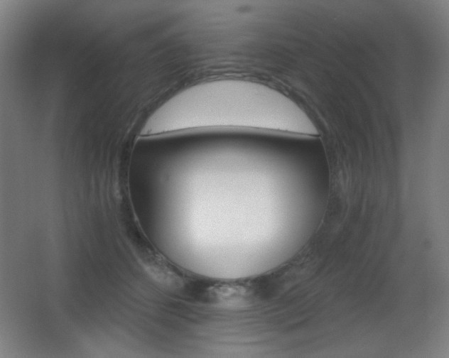 X0000068260512200604210918