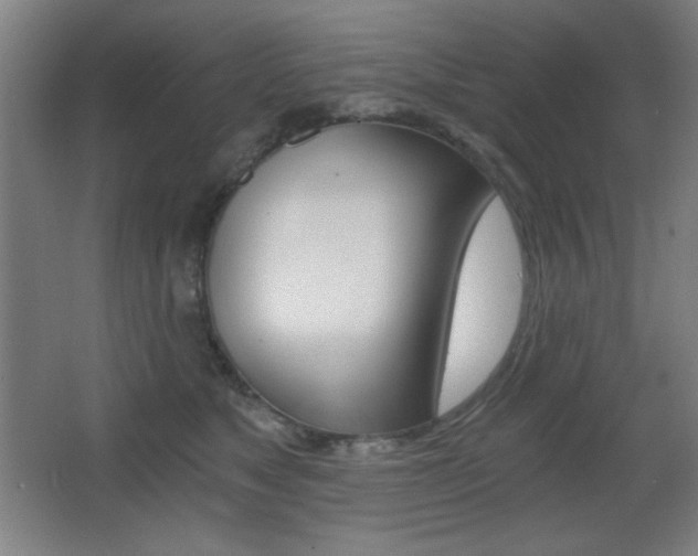 X0000068260517200604210918