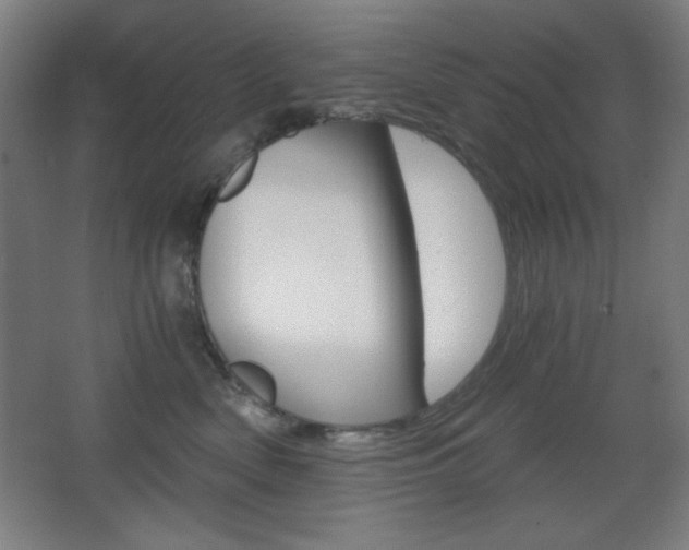 X0000068260522200604210917