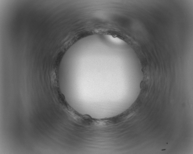 X0000068260523200604210917
