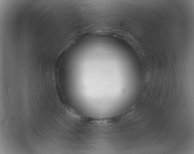 X0000068260524200604210917
