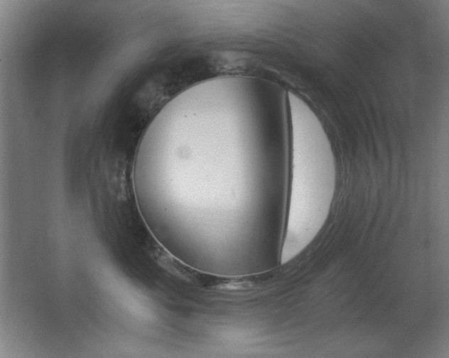 X0000068260525200604210917
