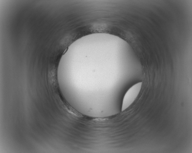 X0000068260526200604210917