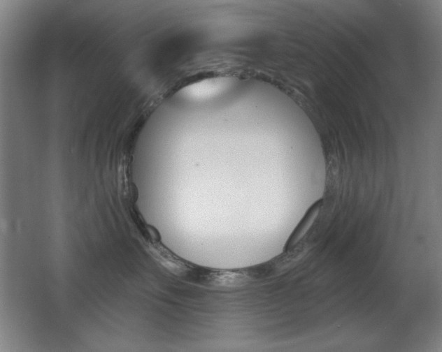 X0000068260527200604210917