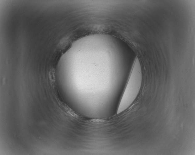 X0000068260528200604210917
