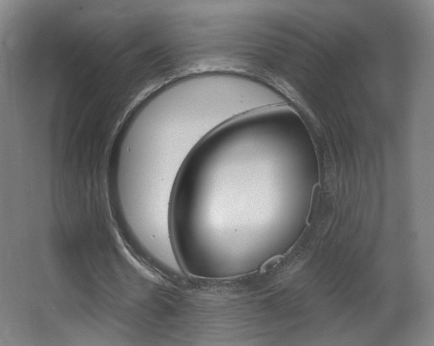 X0000068260530200604210917