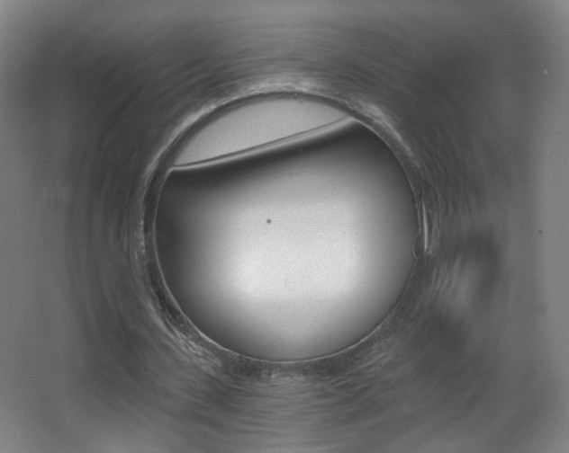 X0000068260531200604210917