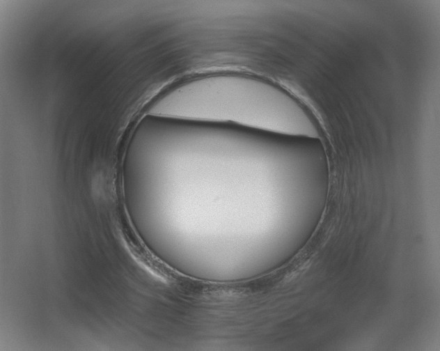 X0000068260533200604210917