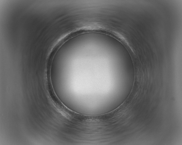 X0000068260535200604210917