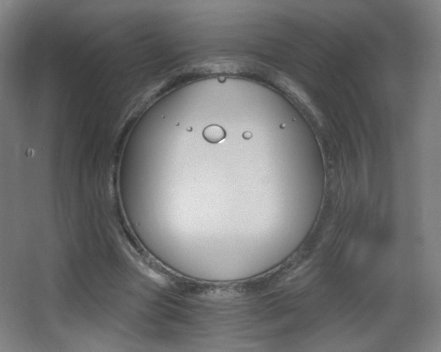 X0000068260537200604210917